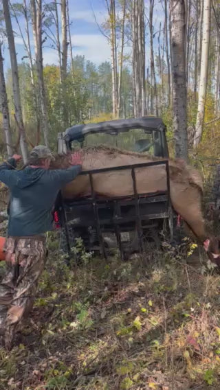 Transporteur d'élans